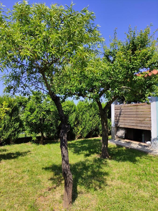 Casas Do Paco - Casas De Ferias 卡贝塞拉什德巴什图 外观 照片